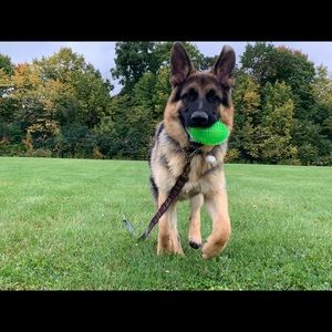 Meet your Posher, Brianna